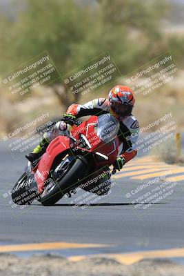 media/May-14-2023-SoCal Trackdays (Sun) [[024eb53b40]]/Turn 5 Tree of Life (1125am)/